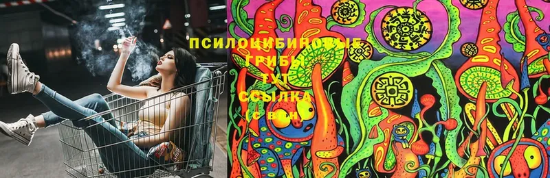 Псилоцибиновые грибы Cubensis  сколько стоит  МЕГА онион  Кяхта 